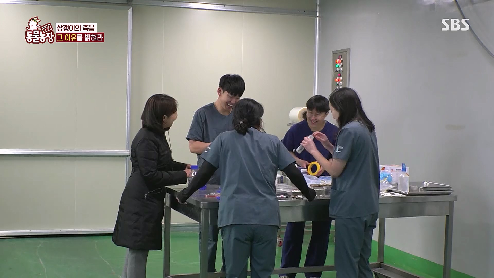TV 동물농장.E1111.230312p.H264-F1RST.mp4_20230312_180006.259.jpg