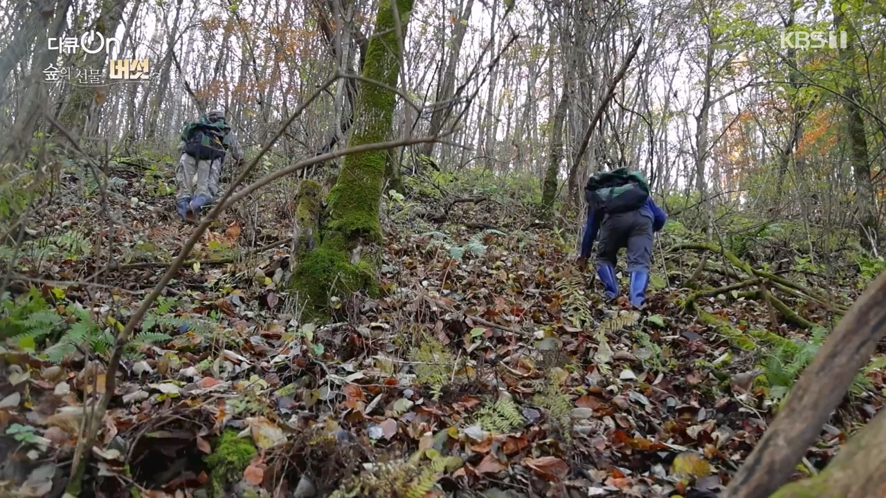 다큐 온.E227.231120p-NEXT.mp4_20231121_203706.881.jpg