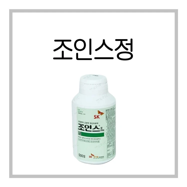 조인스정-이미지