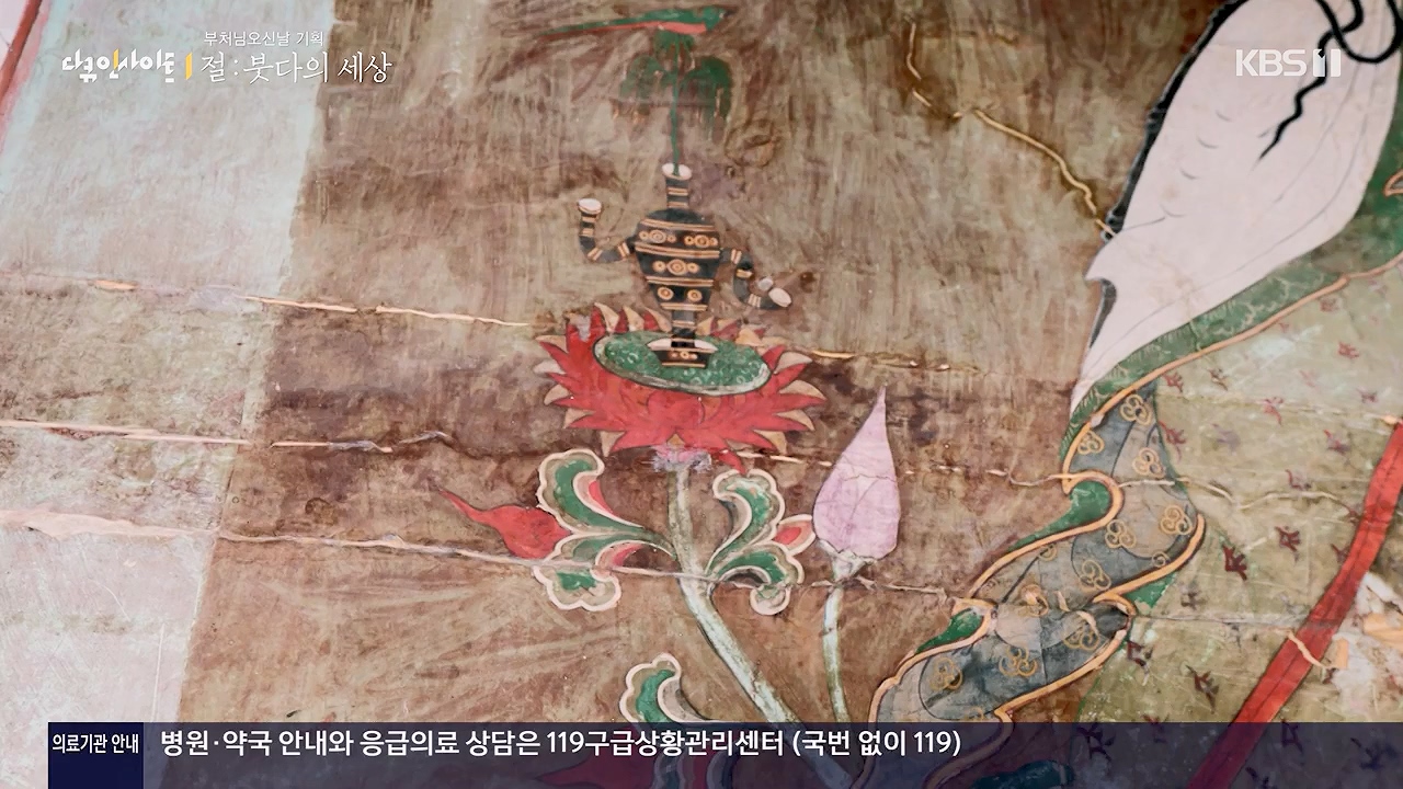 다큐 인사이트.E185.240517p-NEXT.mp4_20240517_202646.523.jpg