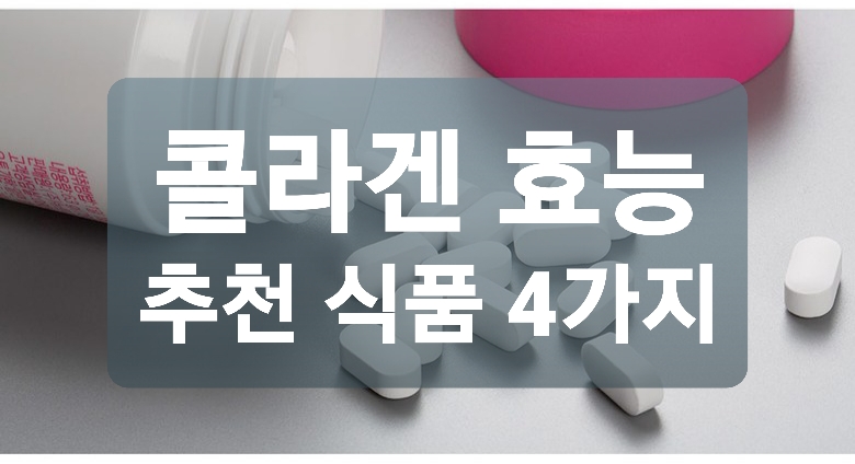 콜라겐의 효능 추천 식품 4가지