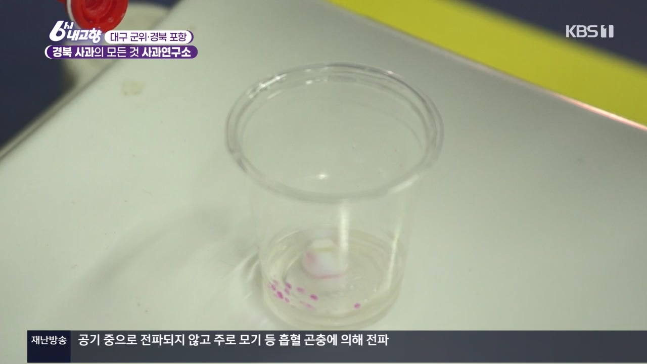 6시 내고향.E7907.231108p.H264-F1RST.mp4_20231108_204726.860.jpg