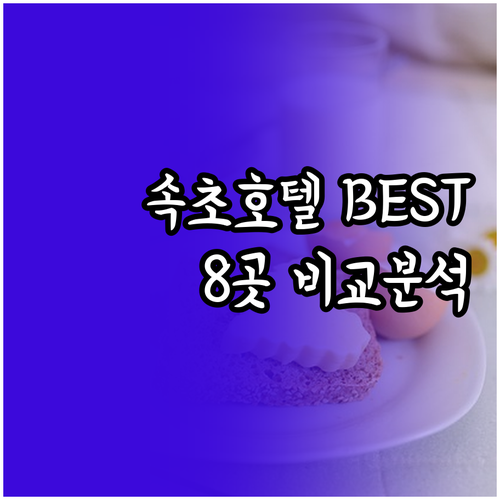속초 호텔 8곳 비교분석 객실 정보와