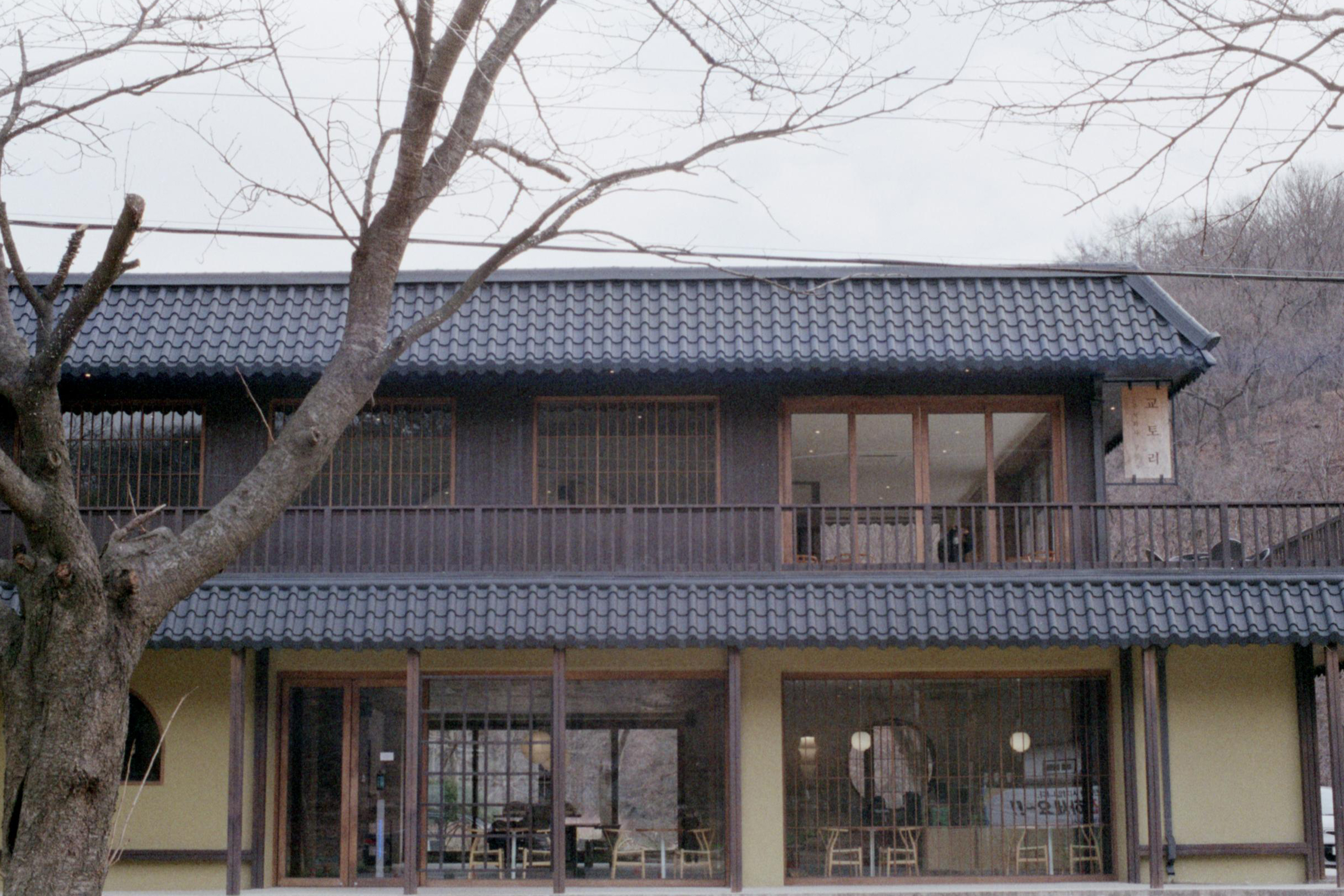  수동 필름 카메라로 찍은 "W-PHOTO 200/24"의 사진 색감