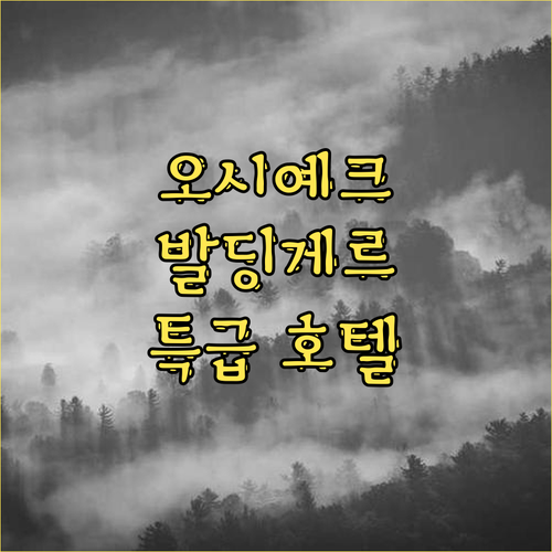 오시예크 발딩게르 호텔! 특별한 숙박