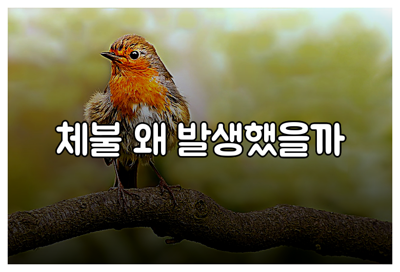 체불 왜 발생했을까