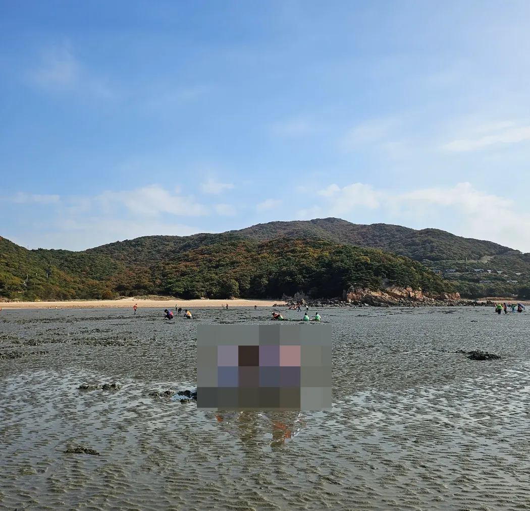 하나개 해수욕장 갯벌체험 사진