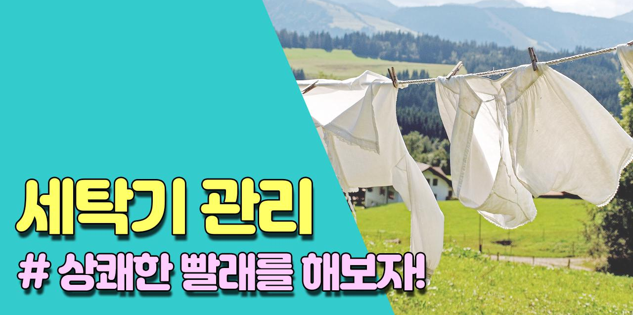  냄새나는 빨래의 원인! 여름철 세탁기 관리법!