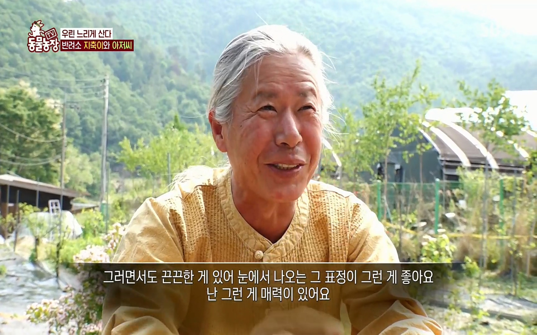 TV 동물농장.E1074.220619p.H264-F1RST.mp4_20220619_181126.419.jpg