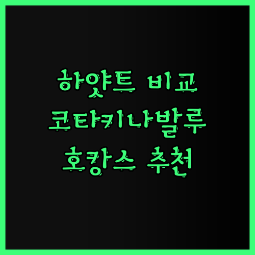 하얏트 리젠시 vs 하얏트 센트릭 코