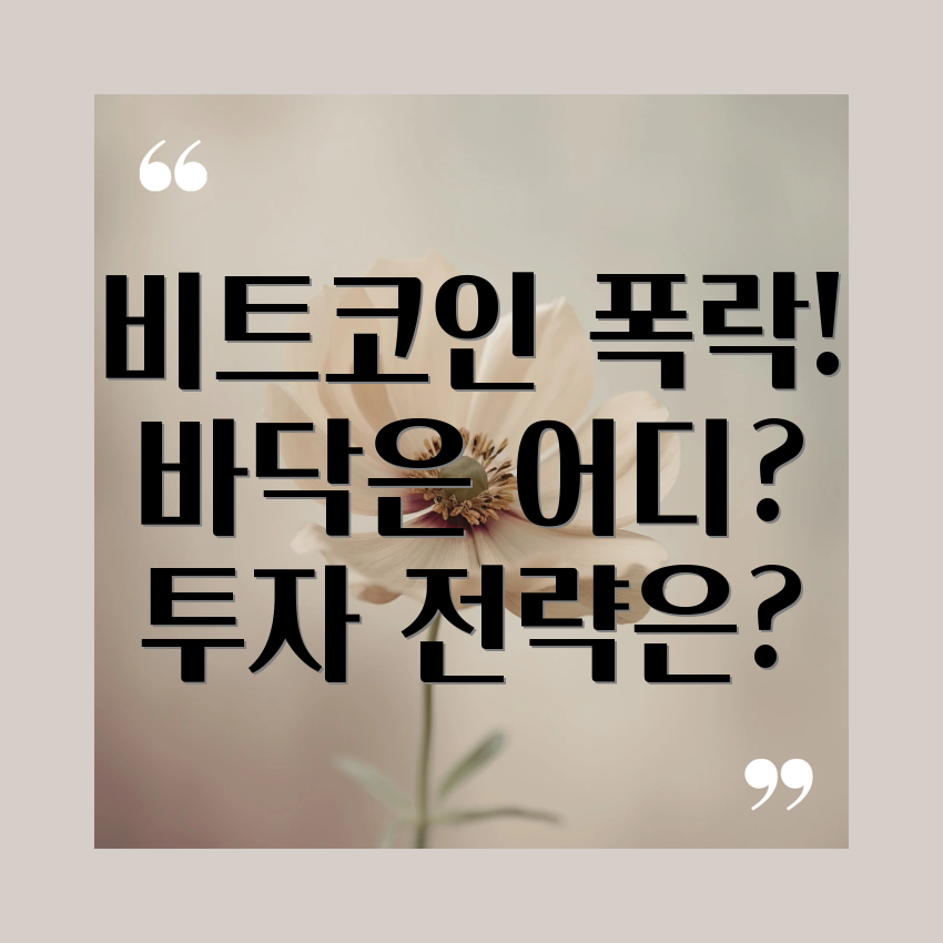 비트코인 가격 급락