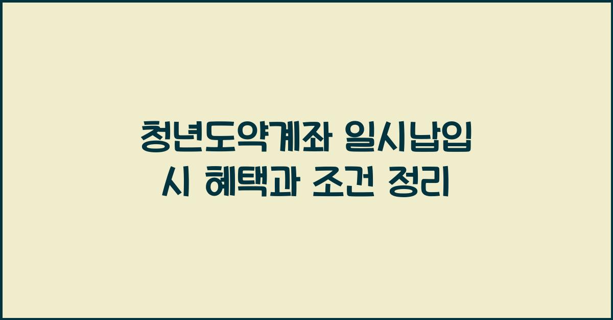 청년도약계좌 일시납입
