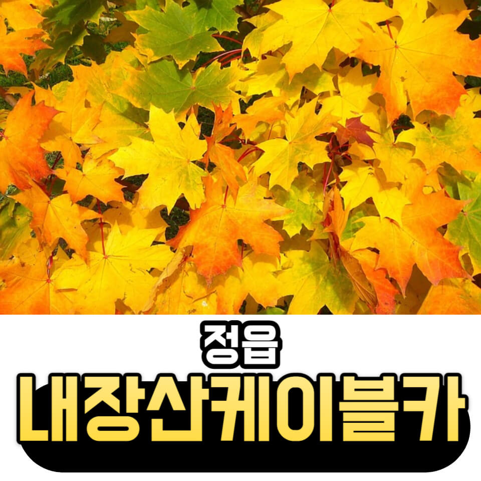 내장산 케이블카