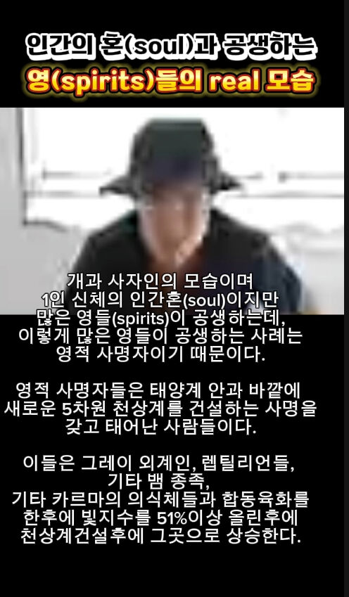 img.jpg