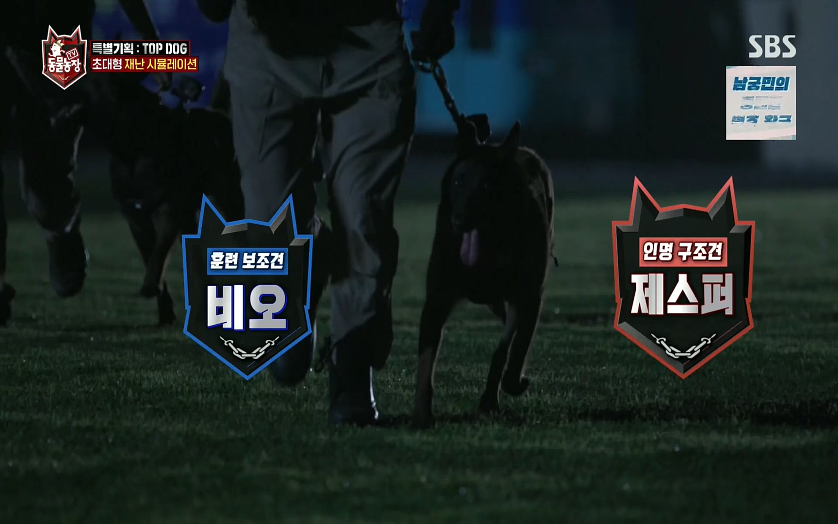 TV 동물농장.E1086.220911p.H264-F1RST.mp4_20220911_175412.668.jpg