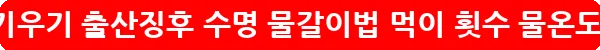 인디언복어 키우기 출산징후 수명 물갈이법 먹이 횟수 물온도_9