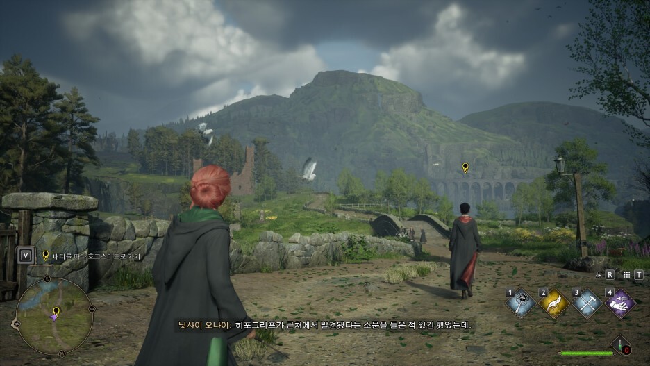 (Hogwarts Legacy) 사소한 게임 스크린샷 모음 36