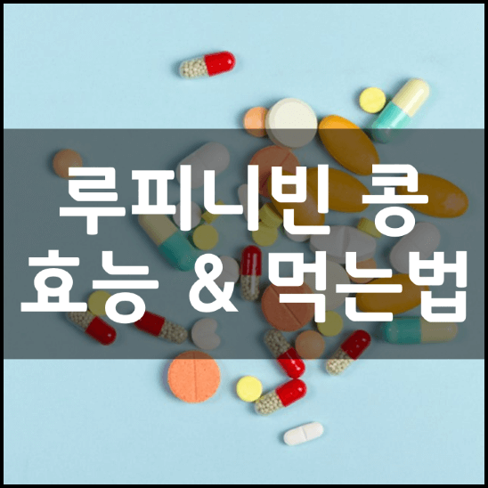 베네팜-루피니빈-콩-밥-효능-성분-먹는법-가격