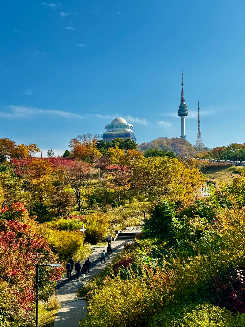 남산의-가을풍경