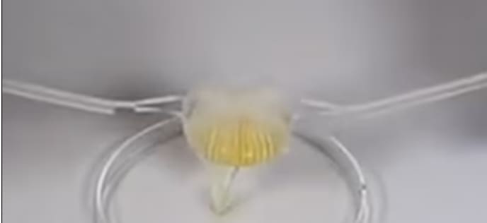 계란 노른자 들어 올리는 종이접기에서 영감받은 로봇 도구 VIDEO: Watch this origami-inspired robotics tool lift egg yolks and bubbles
