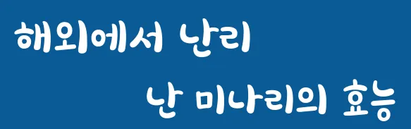 해외에서 난리 난 미나리의 효능