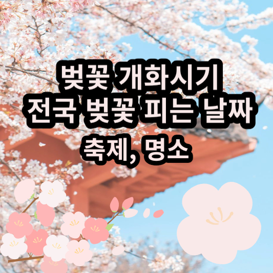 벚꽃 개화시기 (전국 벚꽃 피는 날짜&#44; 벚꽃 축제&#44; 벚꽃놀이&#44; 명소)