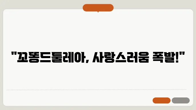 꼬똥드툴레아의 선택 방법