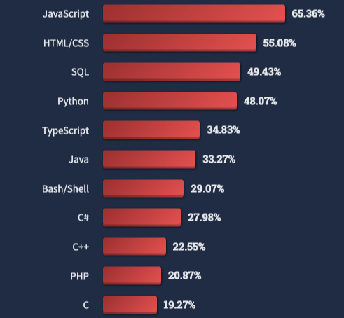 2022년 가장 인기 있었던 프로그래밍 언어 목록