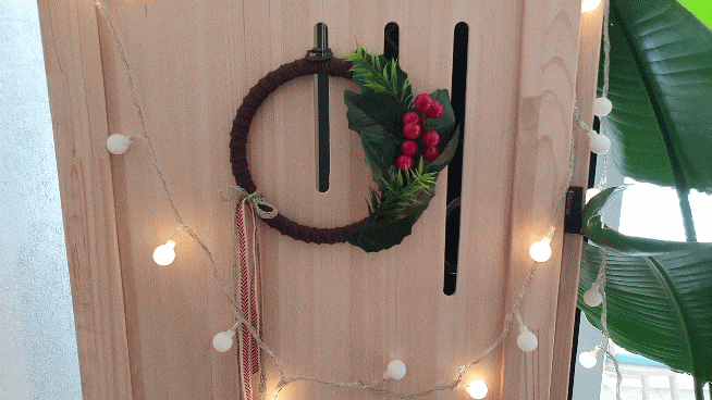 식물 인테리어로 뱅갈고무 나무 키우기 집에서 키우는 거실 반려 13