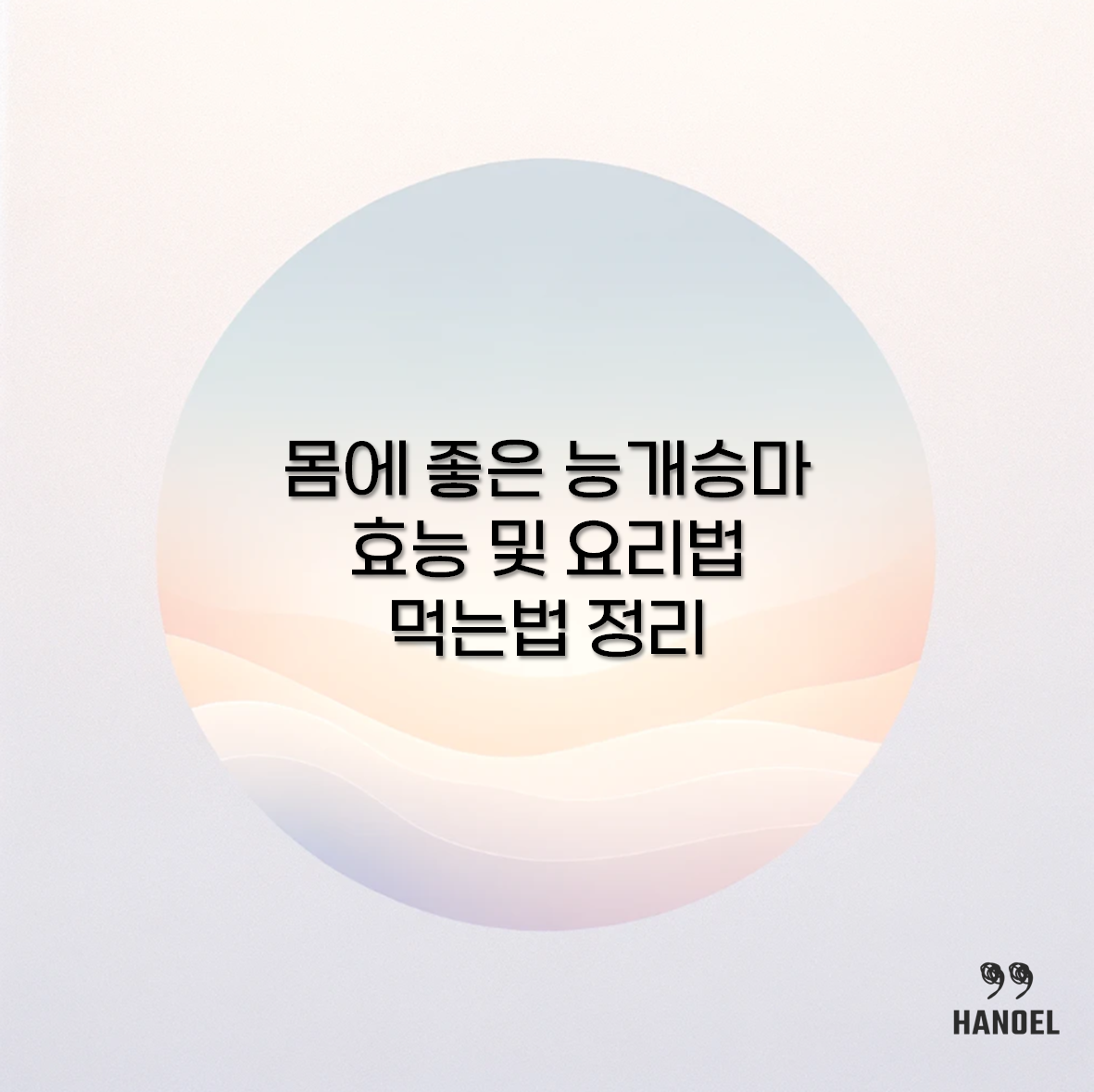 몸에 좋은 능개승마 효능 및 요리법 먹는법 정리