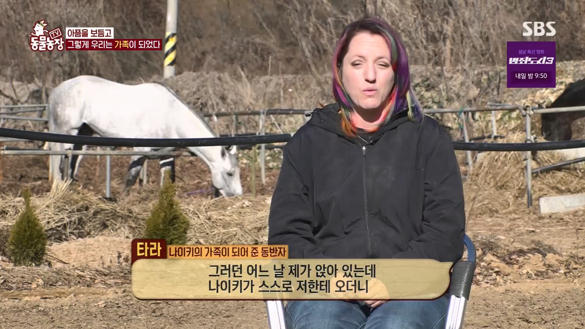 TV 동물농장.E1158.240211p.H264-F1RST.mp4_20240211_194056.603.jpg