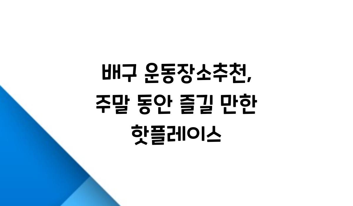 배구 운동장소추천