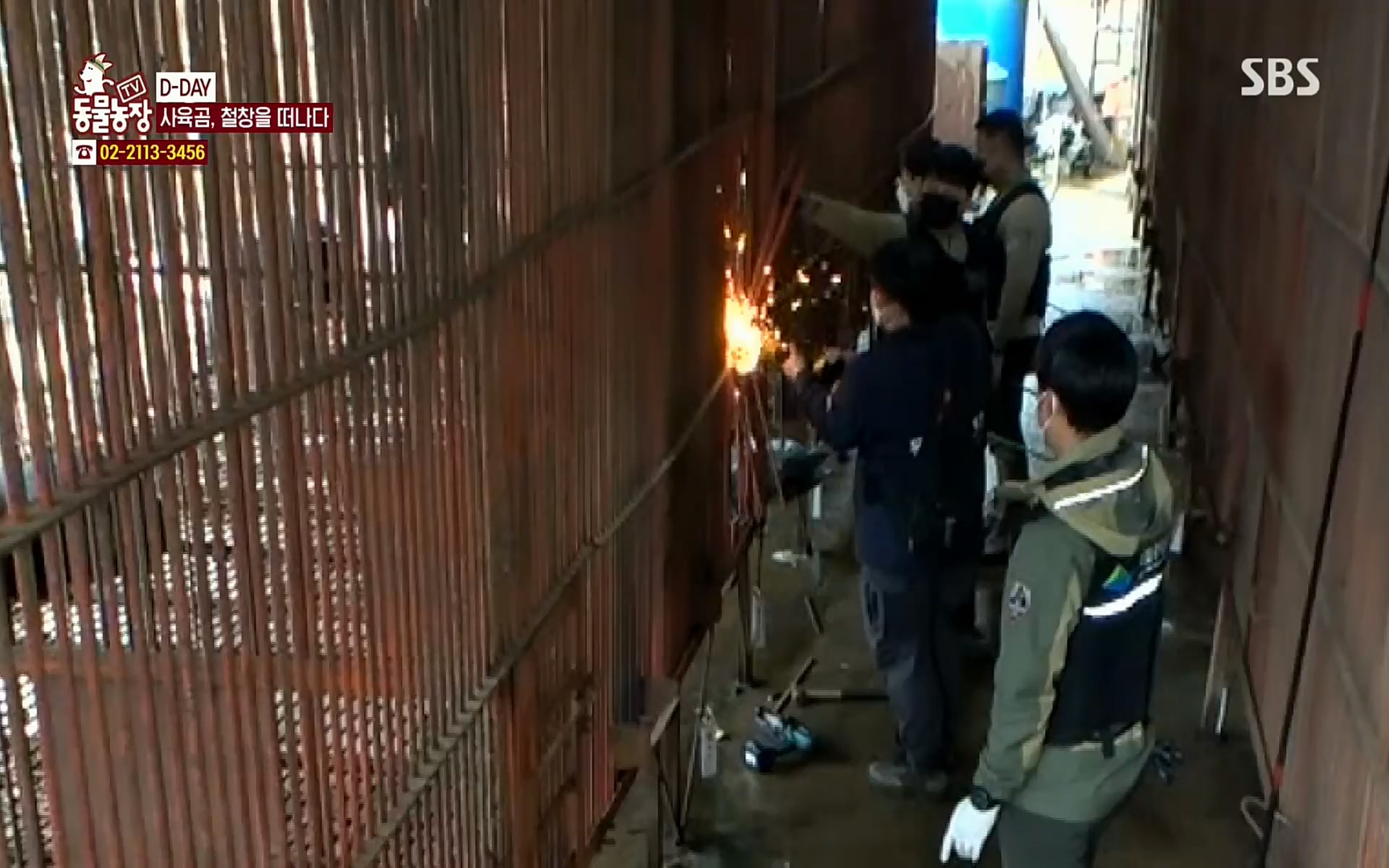 TV 동물농장.E1063.220403p.H264-F1RST.mp4_20220403_175131.884.jpg