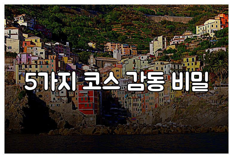 5가지 코스 감동 비밀