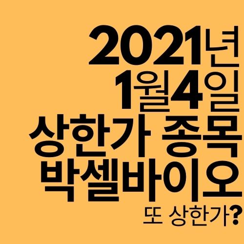  [상한가 종목] 박셀바이오 (또 상한가?)