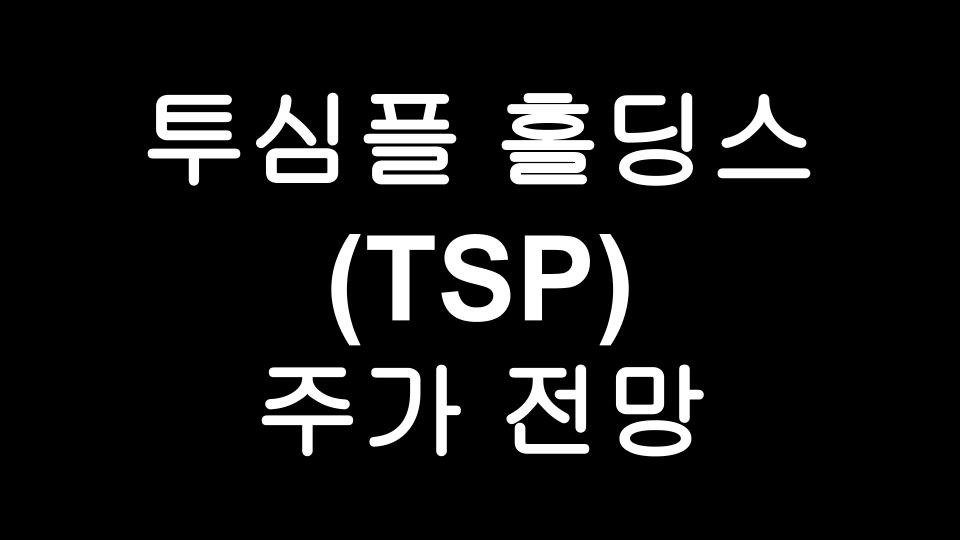  투심플 홀딩스 (TSP) 주가 전망 - 자율주행 트럭 관련주 TuSimple ,52주 최저가 기록중?!