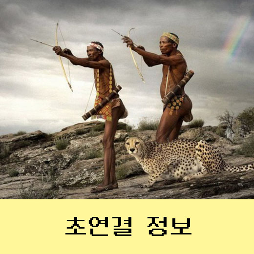  호모사피엔스 vs 데니소바인 1편