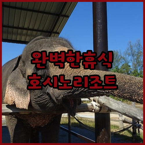 호시노 리조트 리조나레 괌에서의 완벽