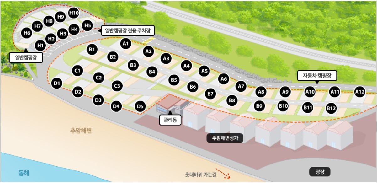 추암오토캠핑장 배치도