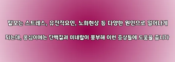  탈모는 스트레스, 유전적요인, 노화현상 등 다양한 원인으로 일어나게 되는데, 옹심이에는 단백질과 미네랄이 풍부해 이런 증상들에 도움을 줍니다