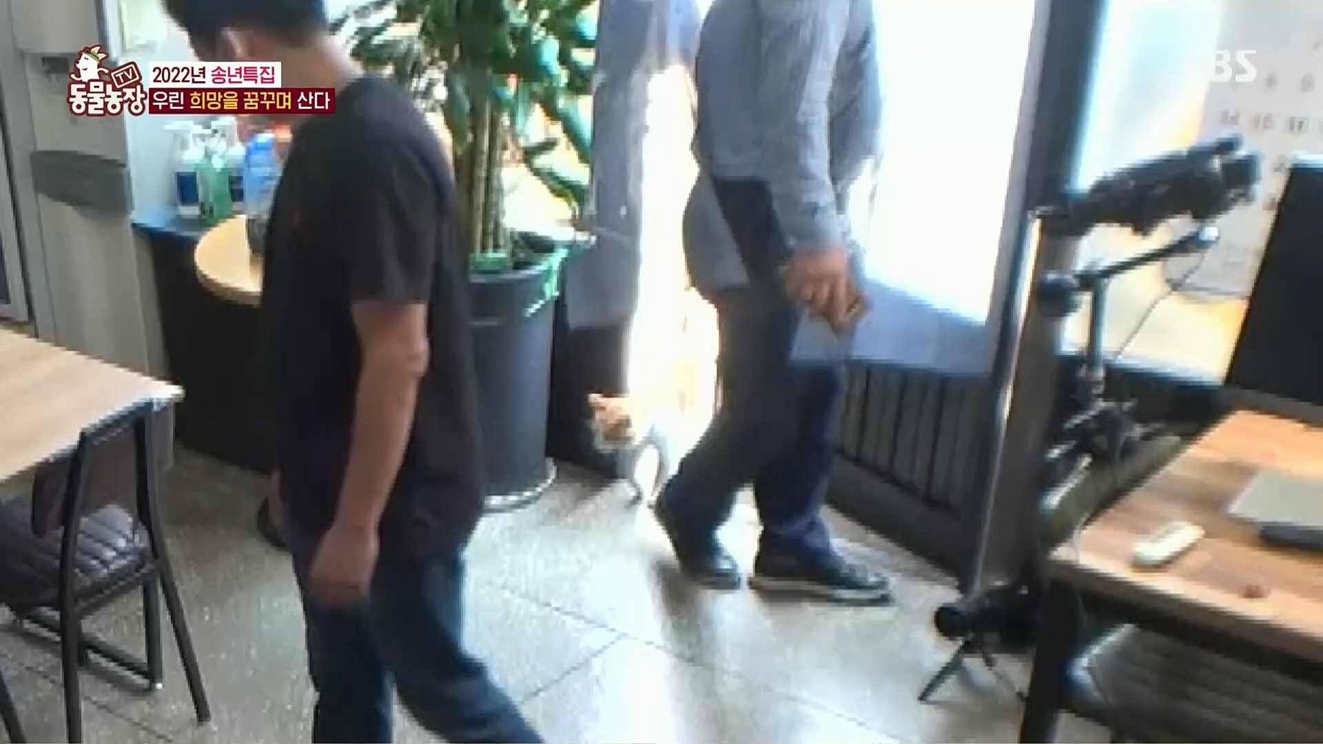 TV 동물농장.E1101.221225p.H264-F1RST.mp4_20221225_190302.763.jpg