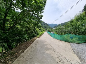 보양 밥상