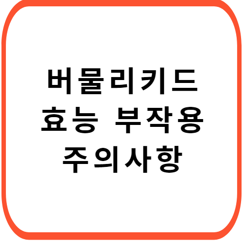 버물리-키드-크림-가격-성분-효능-부작용-썸네일