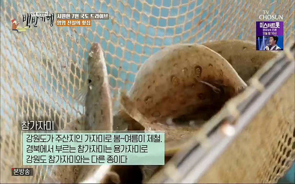 식객 허영만의 백반기행.E159.220709p.H264-F1RST.mp4_20220709_171006.712.jpg