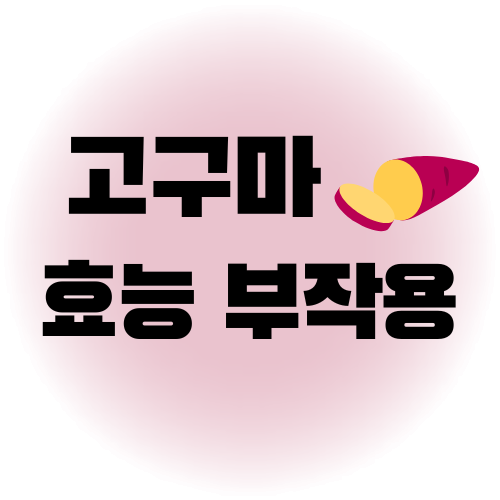 고구마 효능 부작용