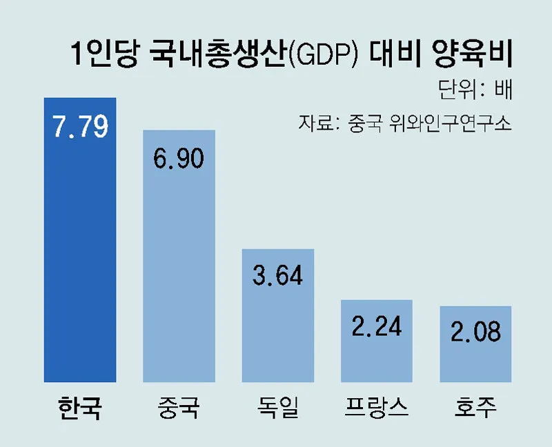 2025 양육비 선지급제 정보_1
