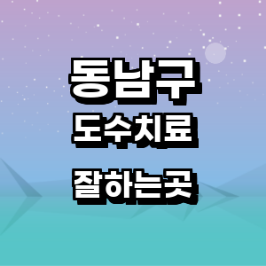 천안 동남구 도수치료