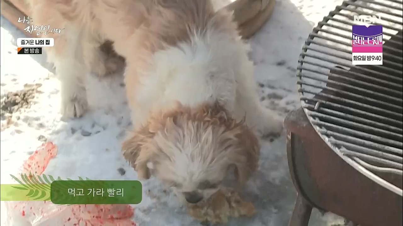 나는 자연인이다.E535.230105p.H264-F1RST.mp4_20230106_203956.929.jpg