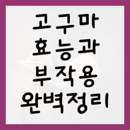 고구마-효능-및-부작용-대표사진