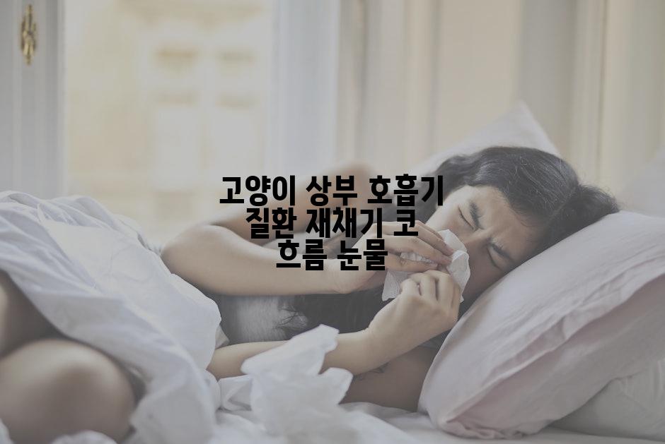 고양이 상부 호흡기 질환 재채기 코 흐름 눈물